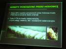 Konferencja przed II Festiwalem Wieprzowiny w Kwidzyniu