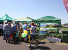 Zielone AgroShow 2016