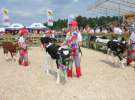 Wystawa Bydła: Konkurs Młodego Hodowcy - Opolagra 2011