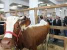 Spacer Ministra Sawickiego po terenie targów Polagra Food i KWZH
