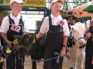 Młody Hodowca - Szepietowo 2012 XIX Regionalna Wystawa Zwierząt Hodowlanych