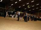 Wystawa  Blickpunkt Rind 2013 w miejscowości Paaren/Glien (Niemcy)