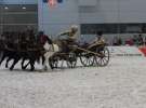 CAVALIADA 2013 w Poznaniu