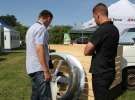 OMNIVENT na targach AGRO-TECH Minikowo 2013