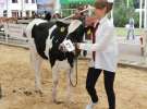 Wystawa bydła Sielinko 2011