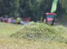 Zielone AGRO SHOW – POLSKIE ZBOŻA 2014 w Sielinku - sobota