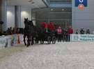 CAVALIADA 2013 w Poznaniu