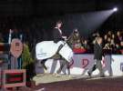 CAVALIADA 2013 w Poznaniu