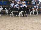 Młody Hodowca - Szepietowo 2012 XIX Regionalna Wystawa Zwierząt Hodowlanych