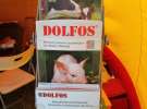 DOLFOS na Opolagra 2012