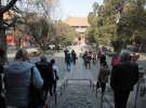 Gospodarz.pl w Chinach