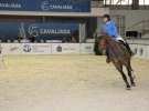 CAVALIADA 2013 w Poznaniu