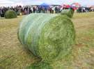 Pokazy maszyn Polskie Zboża Zielone Agro Show 2013