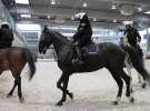 CAVALIADA 2013 w Poznaniu