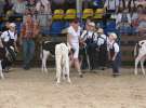 Młody Hodowca - Szepietowo 2012 XIX Regionalna Wystawa Zwierząt Hodowlanych
