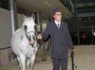 CAVALIADA 2013 w Poznaniu