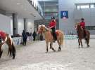 CAVALIADA 2013 w Poznaniu
