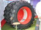 Grasdorf Koła Polska na Zielonym AGRO SHOW – POLSKIE ZBOŻA 2014 w Sielinku