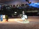 CAVALIADA 2013 w Poznaniu