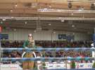 CAVALIADA 2013 w Poznaniu