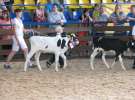 Młody Hodowca - Szepietowo 2012 XIX Regionalna Wystawa Zwierząt Hodowlanych