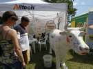 AGRO-TECH w Minikowie 2013