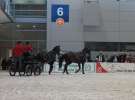 CAVALIADA 2013 w Poznaniu