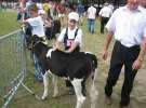 Młody Hodowca - Szepietowo 2012 XIX Regionalna Wystawa Zwierząt Hodowlanych