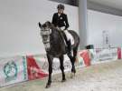 CAVALIADA 2013 w Poznaniu