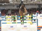 CAVALIADA 2013 w Poznaniu