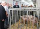 Spacer Ministra Sawickiego po terenie targów Polagra Food i KWZH
