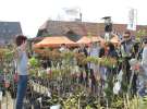 XX Agro-Targi 2011 w Starej Łubiance