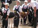 Młody Hodowca - Szepietowo 2012 XIX Regionalna Wystawa Zwierząt Hodowlanych