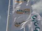 Zielone AGRO SHOW - Polskie Zboża 2015 w Sielinku