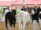 VII Ogólnopolska Wystawa Bydła Hodowlanego - Sielinko 2012