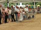 Zielone AGRO SHOW – POLSKIE ZBOŻA 2014 w Sielinku - niedziela