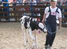 Młody Hodowca - Szepietowo 2012 XIX Regionalna Wystawa Zwierząt Hodowlanych