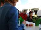 AGRO SHOW 2013 - sobota i niedziela