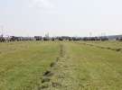 Zielone Agro Show pokaz maszyn rolniczych