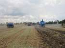 Pokazy polowe Romanów k/Krotoszyna