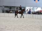 CAVALIADA 2013 w Poznaniu