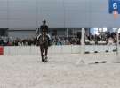 CAVALIADA 2013 w Poznaniu