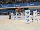 CAVALIADA 2013 w Poznaniu