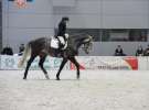 CAVALIADA 2013 w Poznaniu