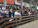 Nagrody - Szepietowo 2012 XIX Regionalna Wystawa Zwierząt Hodowlanych