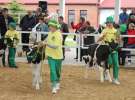 Mali Hodowcy VII Ogólnopolska Wystawa Bydła Hodowlanego w Sielinku 2012