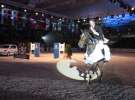 CAVALIADA 2013 w Poznaniu