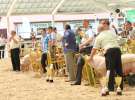 Zielone AGRO SHOW – POLSKIE ZBOŻA 2014 w Sielinku - niedziela