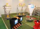Fotorelacja z XVII Międzynarodowych Targów Techniki Rolniczej AGROTECH i XI Targów Przemysłu Drzewnego i Gospodarki Zasobami Leśnymi LAS-EXPO dzień 2