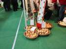 Fotorelacja z XVII Międzynarodowych Targów Techniki Rolniczej AGROTECH i XI Targów Przemysłu Drzewnego i Gospodarki Zasobami Leśnymi LAS-EXPO dzień 1